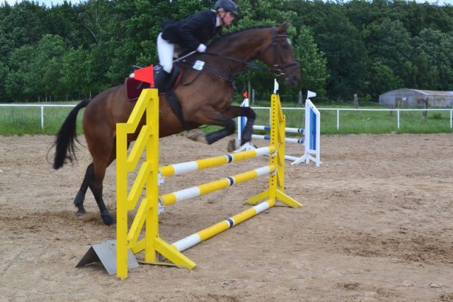 reitertag 2013 127